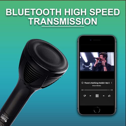 SOROO SR-702 Wireless Handheld Multi-Function Bluetooth Singing Mic - Portable Karaoke Microphone with HiFi Speaker (Black)